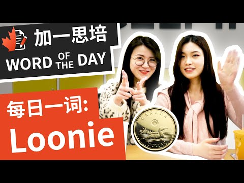 Loonie是什么? 加拿大 硬币根本就是动物园 付钱还要先数有几只鸟？！｜ 加拿大英文｜ 加一思培