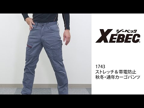 【XEBEC 1743 カーゴパンツ】 ワーク・キング 試着動画