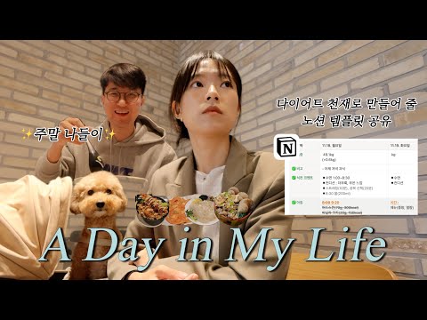 (vlog)  회+라면+맥주로 마무리하는 다이어터 주말 | 다이어트 일상 | 다이어트 기록 노션 템플릿 공유 | 장미맨숀 가구 구경 |