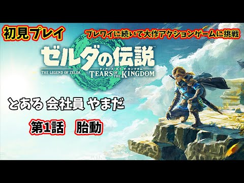 【初見プレイ】ティアキンやるます。 第1話 【ゼルダの伝説 TotK/#秘書見習い】