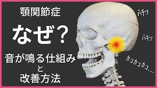 【顎関節症】現役歯科医師が解説！音が鳴る仕組みと額関節症改善方法