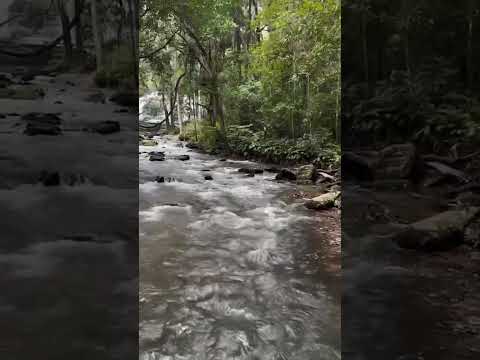 Trip Unknown #waterfall #beautiful #shortvideo #youtubeshorts #goodvibes