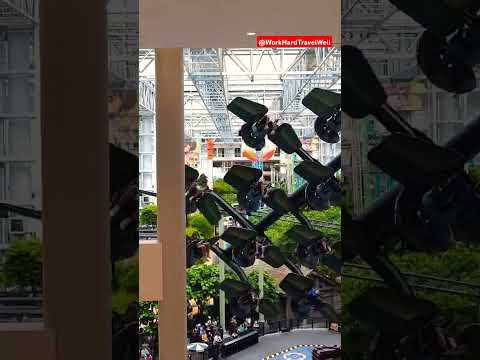 Amusement rides in the Mall | Mall of America