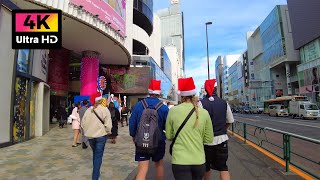 【4K】クリスマスの表参道から原宿まで散歩 (Dec. 2024) | Walk from Omotesando to Harajuku on Christmas Day.