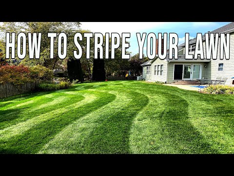 Learn To Stripe Your Lawn Like A Pro!