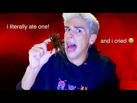 if i get SCARED i EAT A TARANTULA!!!