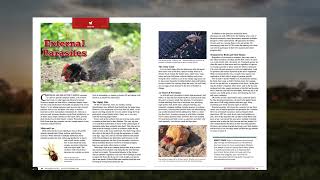 Sneak peek of Backyard Poultry August/September 2022 issue.