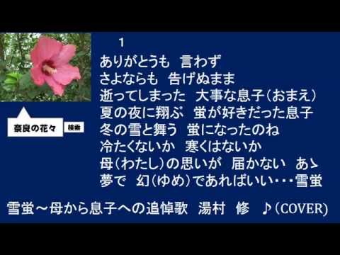 雪蛍～母から息子への追悼歌　湯村　修　♪（COVER）