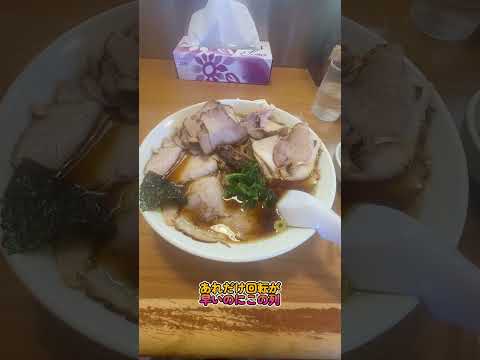 長岡生姜醬油チャーシュー麺　チャーシューましまし　【群馬県】【2024紅葉の季節】【公園猫】