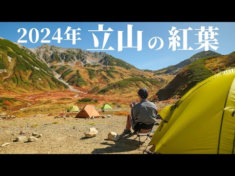 【立山の紅葉】紅葉と雷鳥と夕日と温泉とビールのテント泊！今年も素晴らしい立山の1泊2日