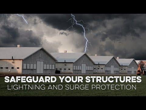 Safeguarding Your Structures: Lightning and Surge Protection on Poultry Farms