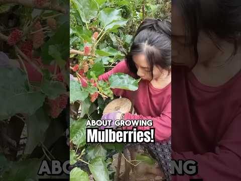 The Power of Growing Your Own Breakfast!