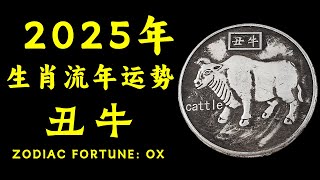 2025年属牛人运势全面爆发！事业、财运、感情、健康四大领域深度解析，生肖牛强势好运来袭，职场飞黄腾达，感情甜蜜升温，健康旺盛，2025年属牛人如何把握好运机会，迎接美好未来！