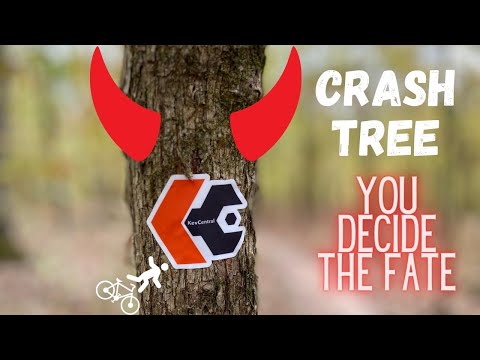 Anatomy of a Crash - You decide what happens next! MTB Crash into Evil Tree