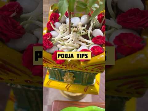 Reusing Pooja flowers for URALI decorations #creativity #thought #ideas