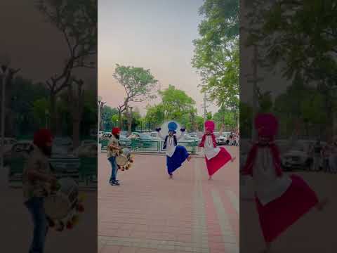 Bhangra ♥️✨