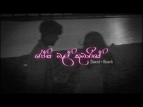 Rosa Mal Kumariye - රෝස මල් කුමාරියේ [slowed +reverb] | DEZTER BEATS