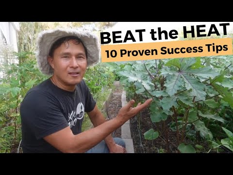 Beat the Heat: Top 10 Expert Vegetable Gardening Tips for 100+ Degrees