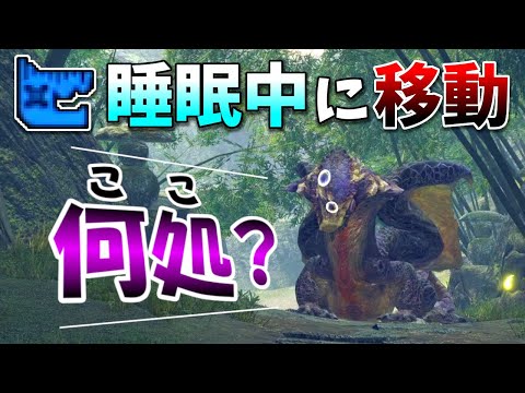 【ドッキリ】モンスターが寝て起きると、別の場所に移動してたらどうなる！？（モンハンサンブレイク）