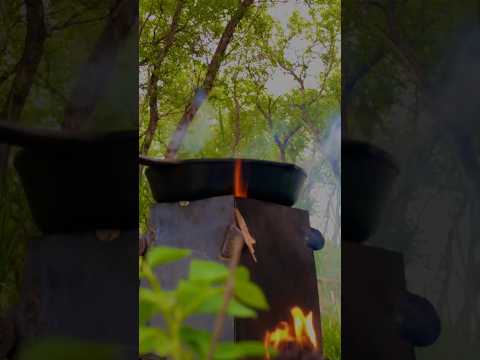 #solo #forest #forestcamping #woodstove #forestcooking #cookyourself #asmr #reels #viral #camping