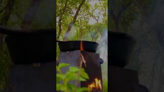 #solo #forest #forestcamping #woodstove #forestcooking #cookyourself #asmr #reels #viral #camping