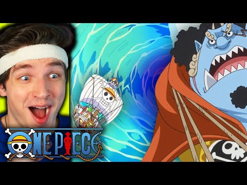 WILL JIMBEI BE THEIR HELMSMAN??? (one piece reaction)