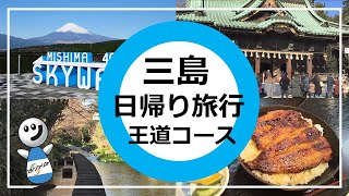 vlog【静岡/三島市】東京から車約2時間で日帰り！ドライブにも・三島スカイウォーク＆三嶋大社＆うなぎ