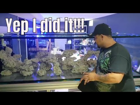 Adding live Sand to reef tank aquarium