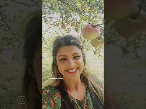 90's Actress Ramba's Apple Garden 😍👌 #shorts #ytshortsindia #youtubeshorts #telugu #tamil