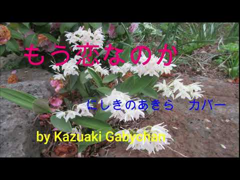 1970 ”もう恋なのか” にしきのあきら カバー "Mo Koi Nanoka ”It must be  Love?" by Akira Nishikino, Covered by Kazuaki