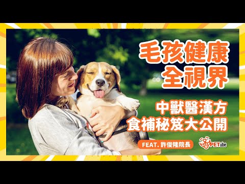 毛孩健康全視界：中獸醫漢方食補秘笈大公開 feat. 許俊隆院長【哈寵小學堂】｜#哈寵PETube 第282集