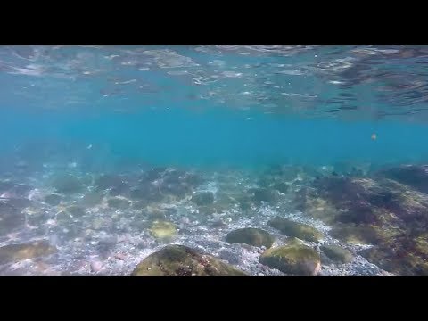 Freediving - Play in cold water - Kanagawa, Kotogahama, January 2015