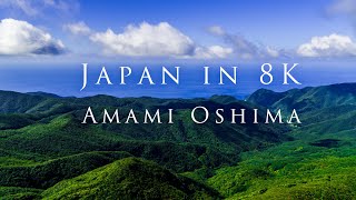 Japan in 8K- Amami Oshima (奄美大島 in 8K)