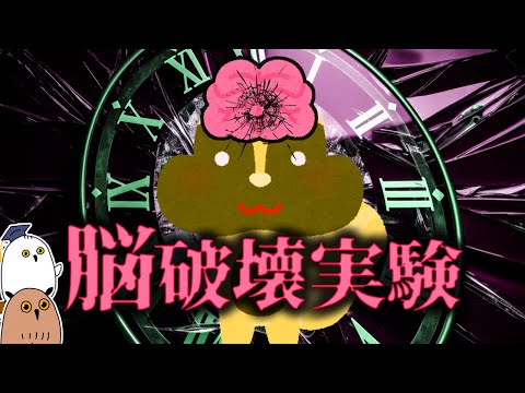 【ゆっくり解説】脳内の時計を破壊すると?：概日リズムの進化【 進化論 / 科学 / 脳 / 古生物 】