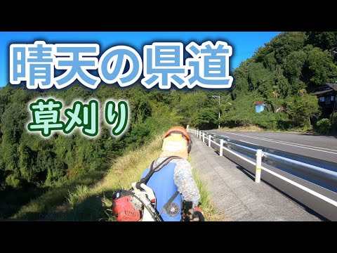 秋の県道7号線草刈り｜まだまだ続く草刈り