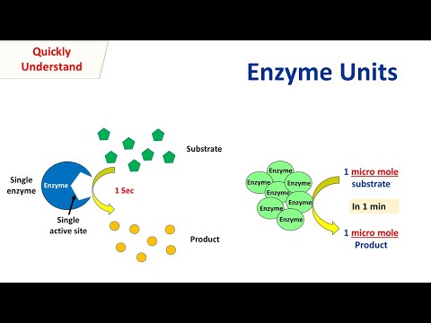 Enzyme units