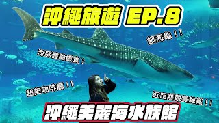 沖繩旅遊EP.8 沖繩美麗海水族館 ! 海豚、海龜餵食體驗~超美咖啡廳 !  近距離觀賞鯨鯊 !!