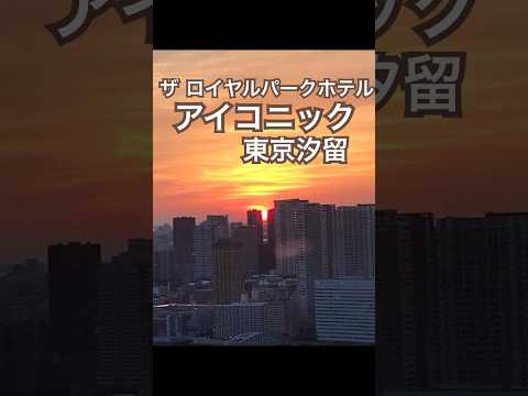 【東京ホテル】ザ ロイヤルパークホテル アイコニック 東京汐留 #東京ホテル