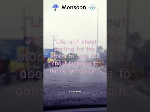 Monsoon | Barish | Monsoon Moments: Capturing the Essence of Rain | #shorts #youtubeshorts #youtube