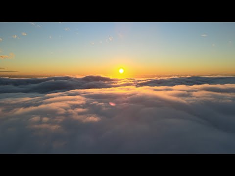 薑麻園丨雲海的故鄉丨夕陽丨空拍丨Mavic Air 2