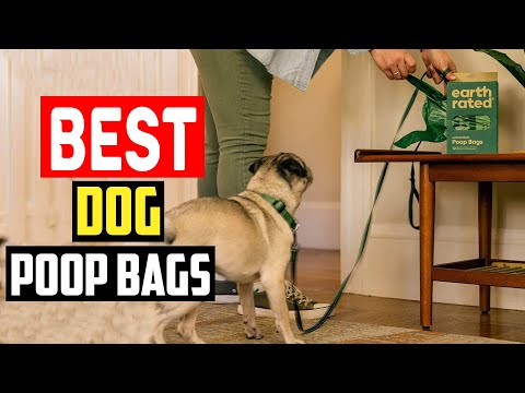 ✅Top 5 Best Dog Poop Bags for Poops of All Shapes and Sizes in 2024