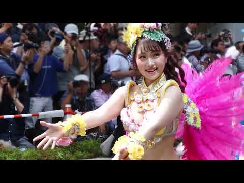 KOBECCO　第49回 神戸まつり 2019 サンバストリート　Escola De Samba KOBECCO