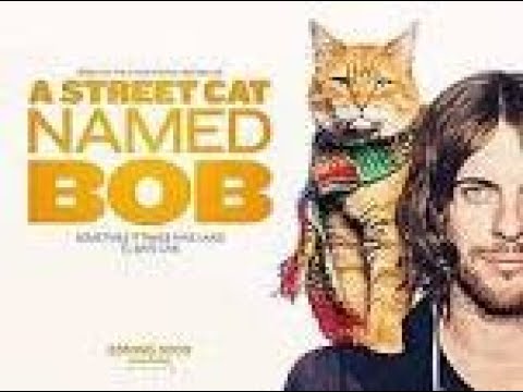 电影剪辑《流浪猫鲍勃》A street cat named Bob