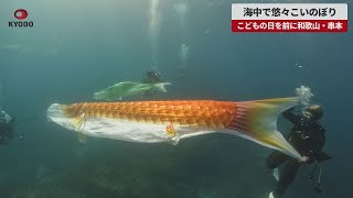 【速報】海中で悠々こいのぼり   こどもの日を前に和歌山・串本