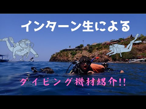 インターン生によるダイビング機材特集‼