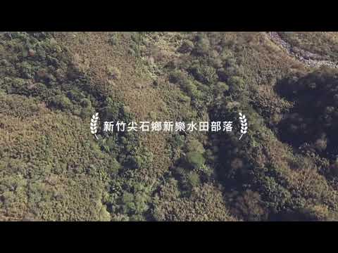 新竹縣尖石鄉嘉樂村新樂村水田村薰衣草森林空拍#mavicair2 #大寶寶的空拍日記 #新竹縣景點 #尖石鄉薰衣草森林 #尖石鄉 #嘉樂村 #新樂村 #水田村