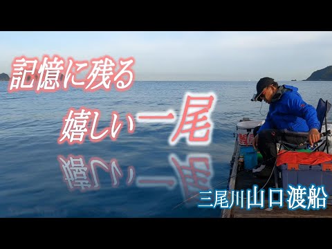 【かかり釣り】絶好調！！年無し嬉しい一尾になりました。今季三尾川山口渡船初釣行。ちょっとイケてる感出し風動画です。いつもイケてないんですが・・（笑）