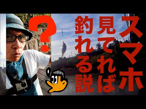 [初心者釣り日記] 6月、久々新川沿いで釣りをする初心者