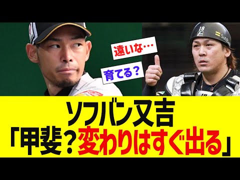 ソフバン又吉「甲斐？変わりはすぐ出る」