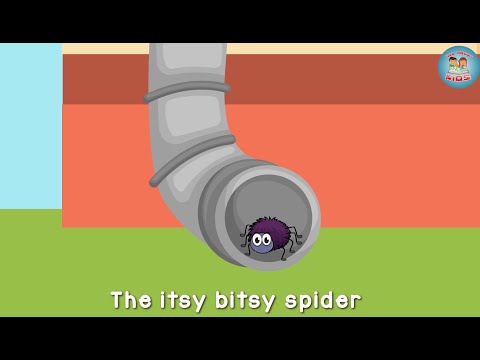 Itsy Bitsy Spider - Nursery Rhymes and Kids Songs